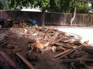 Replacing a pool with turf and pavers