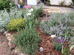 Use mulch to keep down weeds